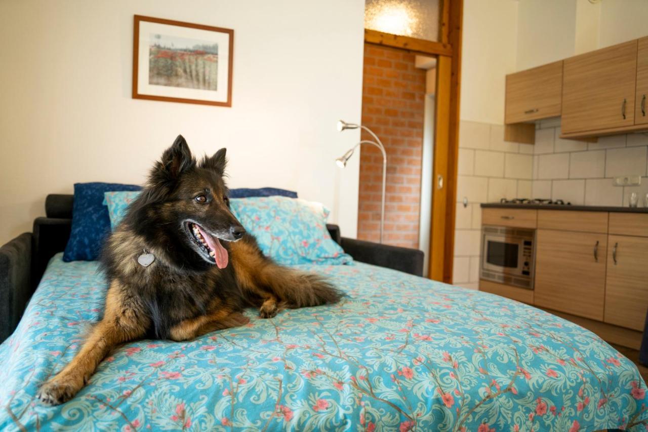 Charmecamping & Appartementen De Regge-Vallei Den Ham Esterno foto